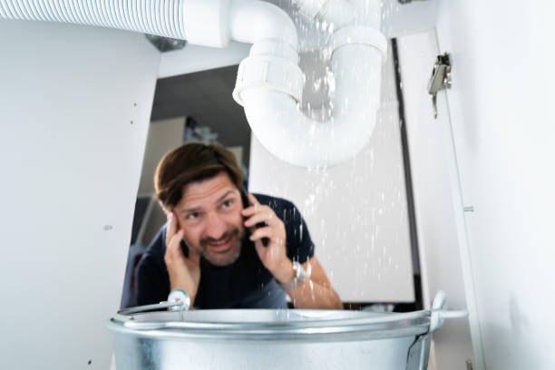 Best Clogged Drain Plumber  in Sheffield, AL